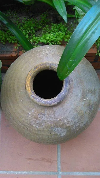 Thao Nguyen Phat Homestay Hoi An Vietnam